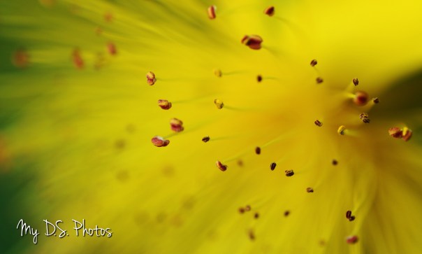 Macro is a world of it's own