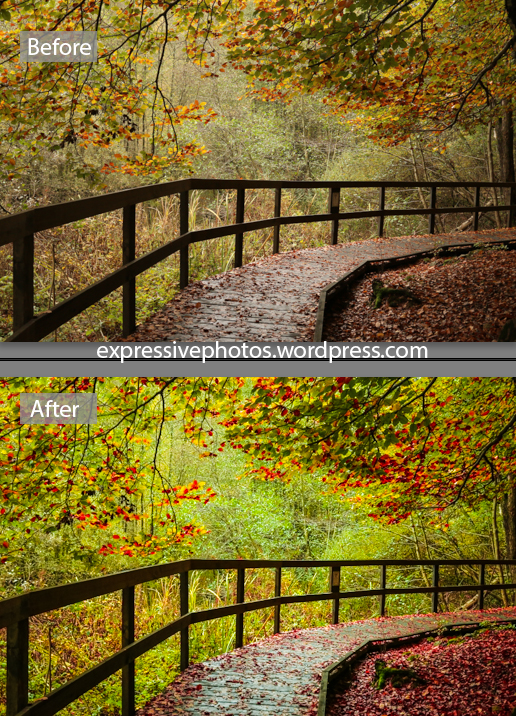 Before and after using Lightroom